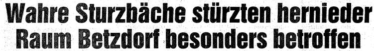 Rhein-Zeitung vom 8. Februar 1984.